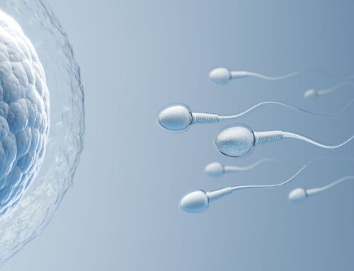 La Fertilidad y la Edad del Hombre: ¿El Factor Masculino Es el Nuevo Reloj Biológico?
